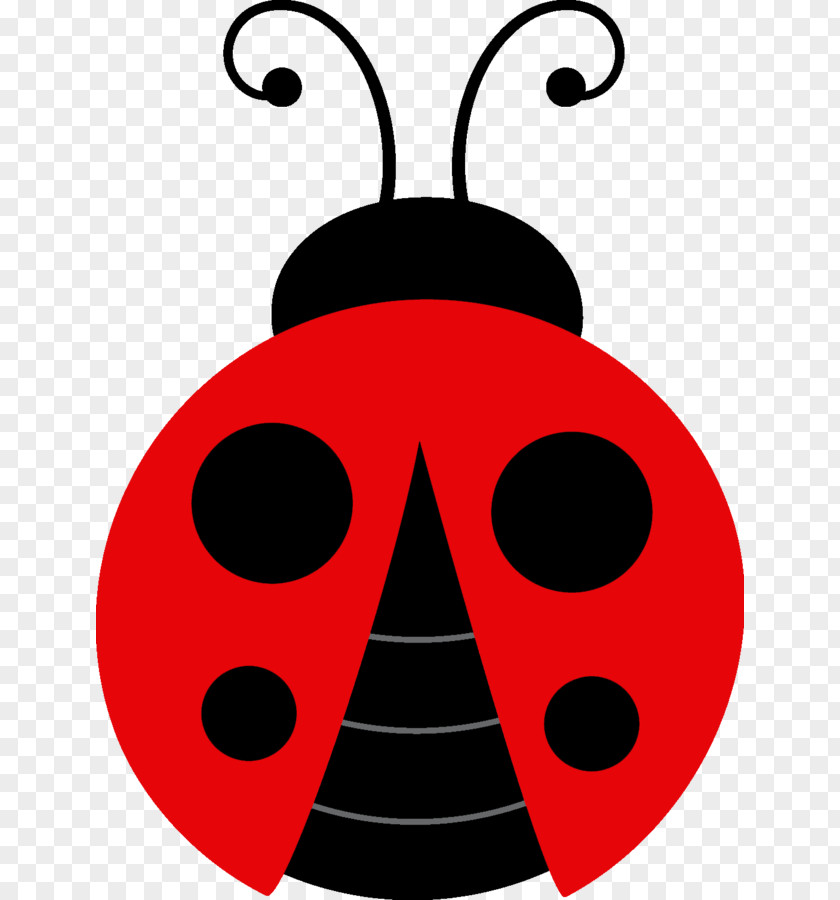 Beetle Ladybird Clip Art PNG