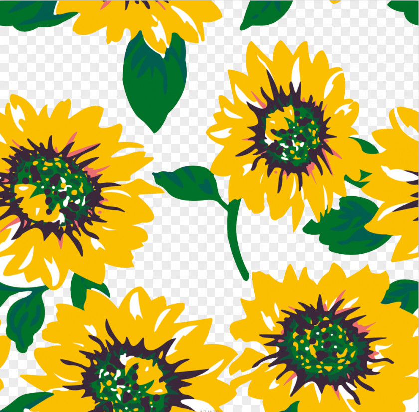 Hand-painted Sunflower Common Oil Printing PNG