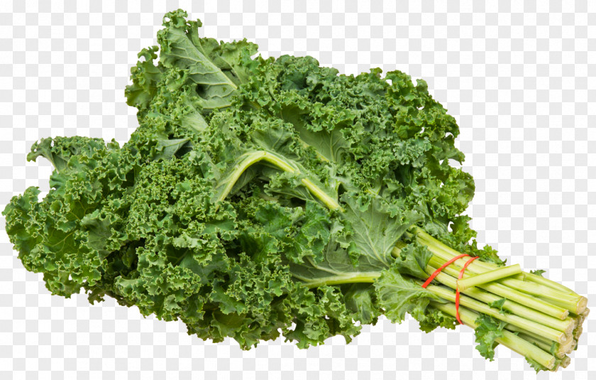 Kale Bundle Juice Organic Food Lacinato Aojiru Vegetable PNG