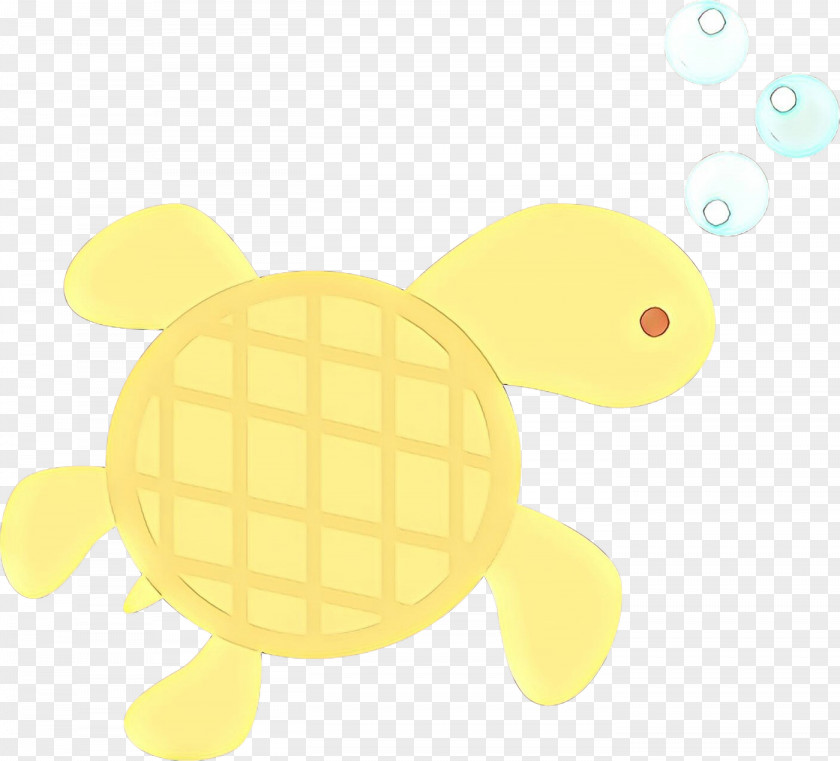 Kemps Ridley Sea Turtle Pond Background PNG