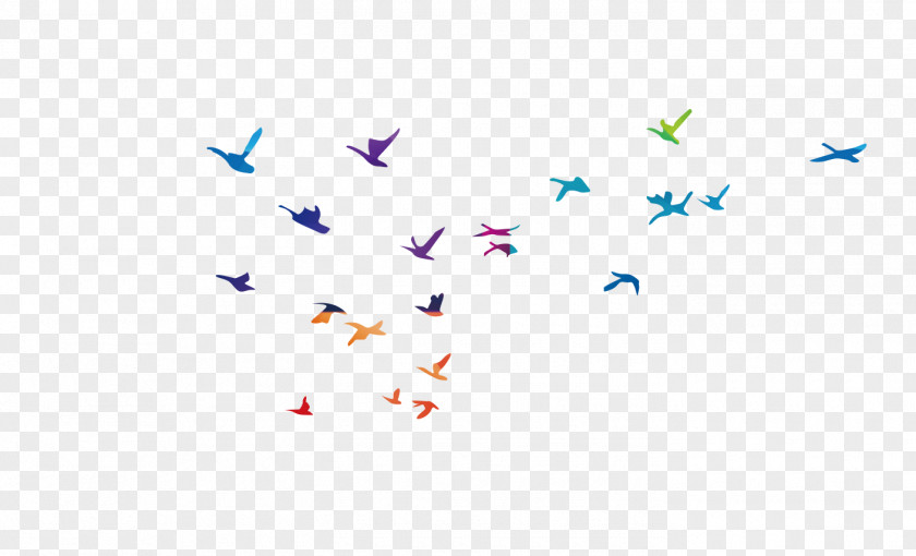 Simple Flying Bird Flight Common Gull PNG
