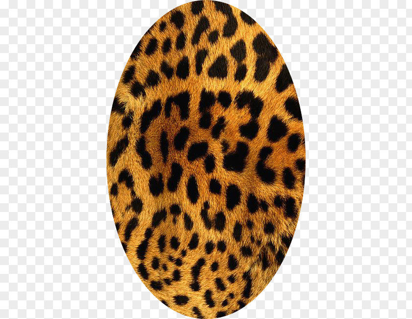 Tiger Leopard Animal Print Cheetah Giraffe PNG