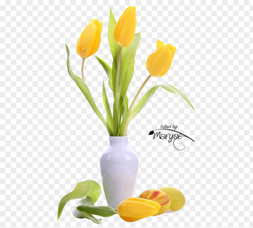 Tulip Flower Bouquet Yellow Desktop Wallpaper PNG