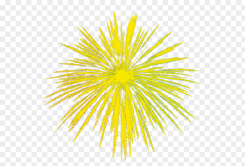 Yellow Fireworks PNG