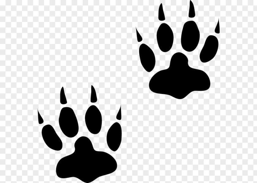 Animal Track Bear Paw Cat PNG