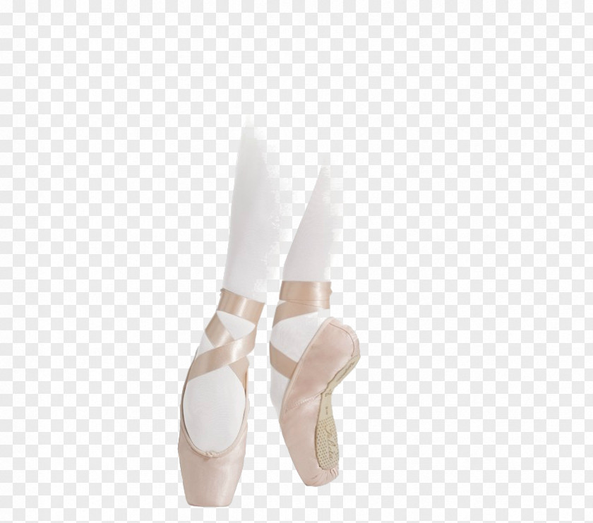 Ballet Repetto Pointe Shoe Dance Technique PNG