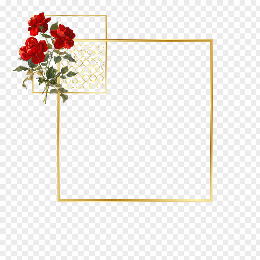 Rectangle Plant Red Rose Frame PNG