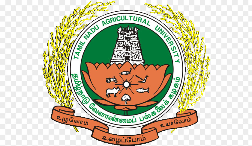 Tamil Nadu Agricultural University College And Research Institute, Killikulam Institute Madurai Recruitment Agriculture PNG