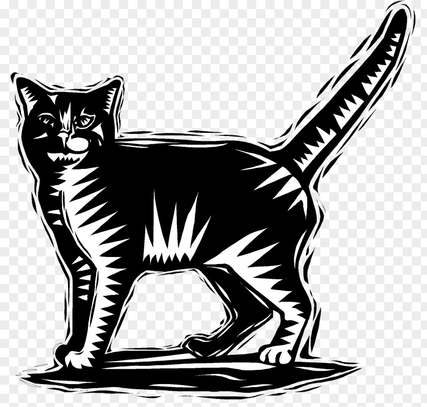 Kitten Whiskers Domestic Short-haired Cat Tabby Black PNG