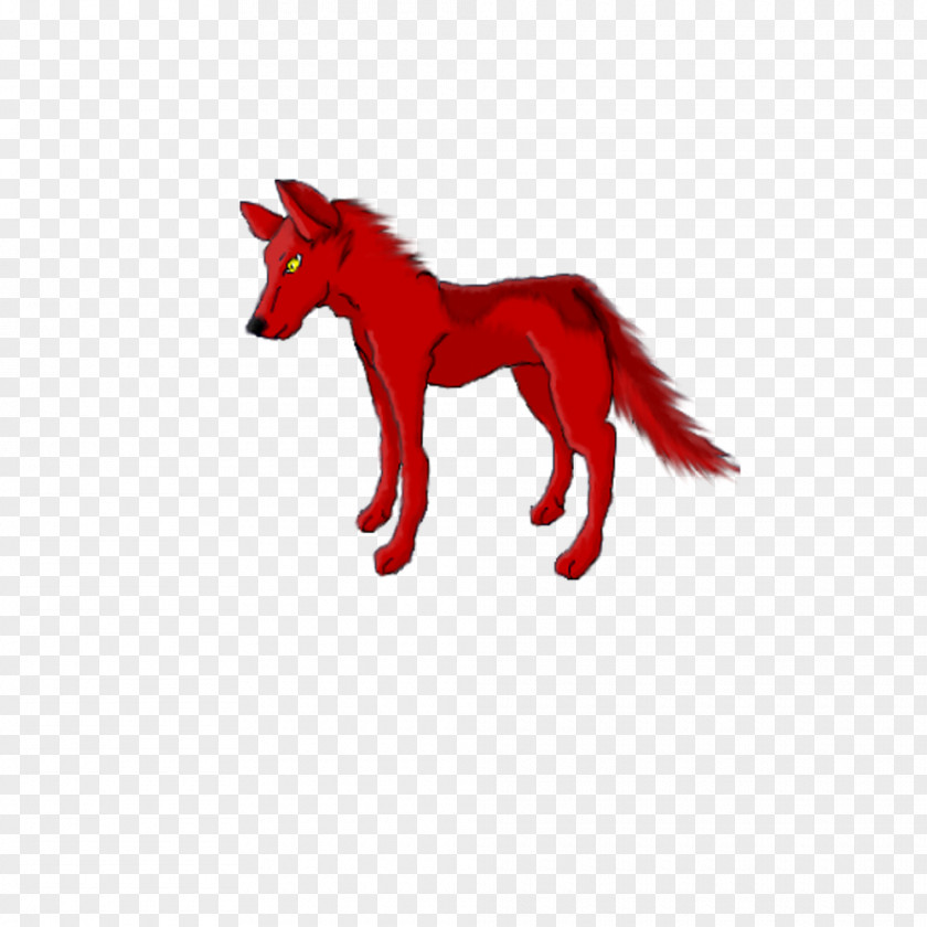 Mustang Canidae Dog Snout Freikörperkultur PNG