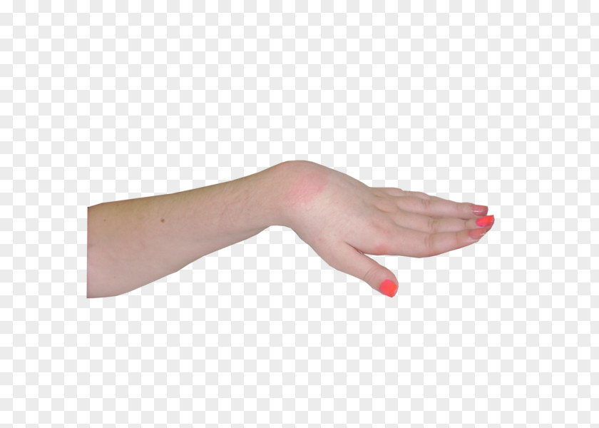 Nail Thumb Hand Model PNG