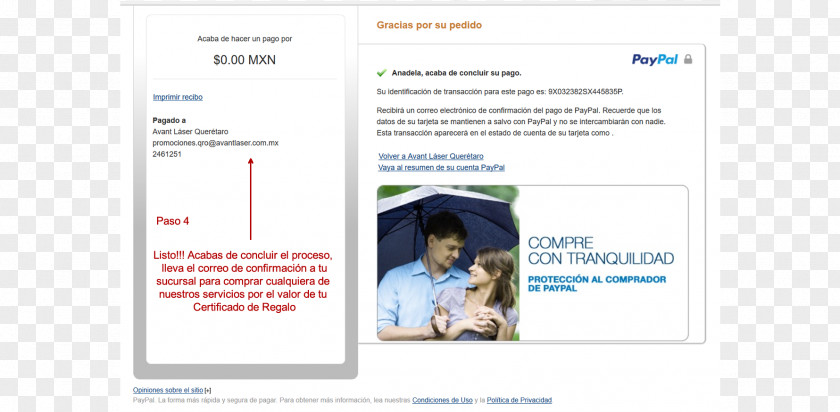 Paypal Advertising Web Page Service Media PNG