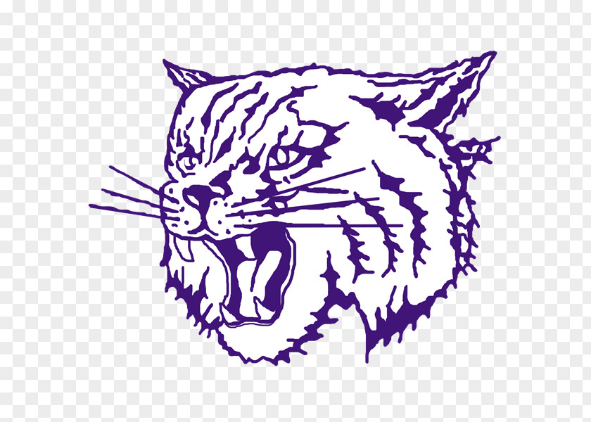 School Thornton Township High Whiskers National Secondary Tinley Park Flossmoor PNG