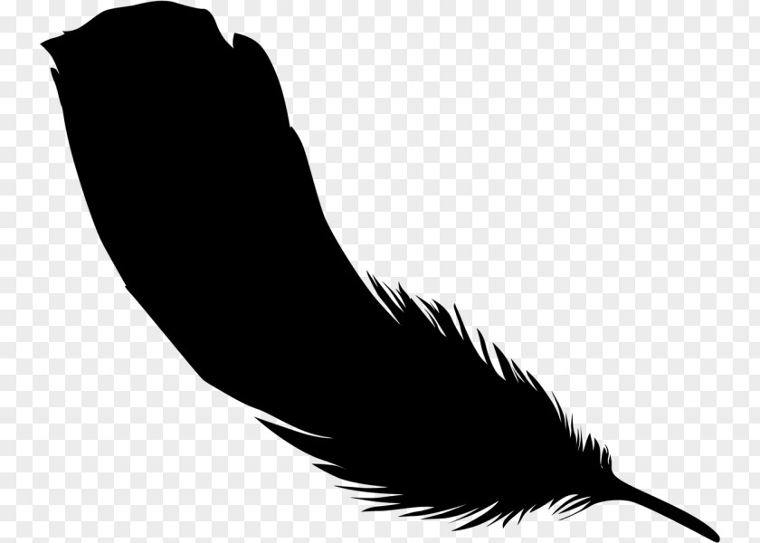 Clip Art Beak Feather Silhouette Black M PNG