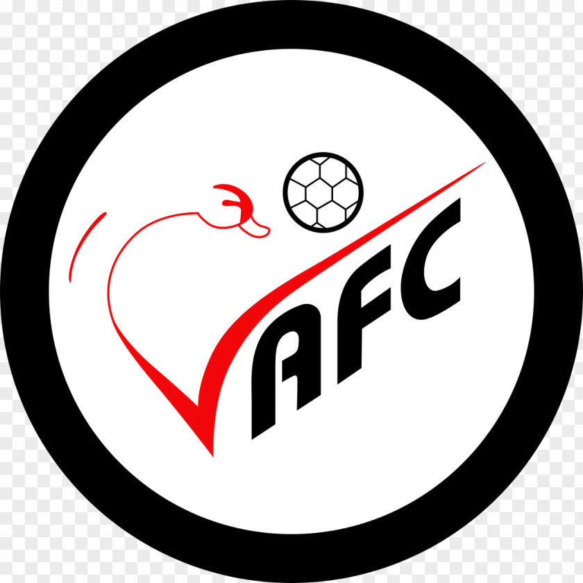 Football Valenciennes FC Chamois Niortais F.C. Lille OSC PNG