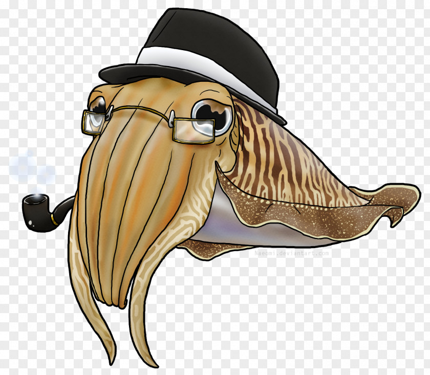 Octopus Squid Cuttlefish Drawing PNG