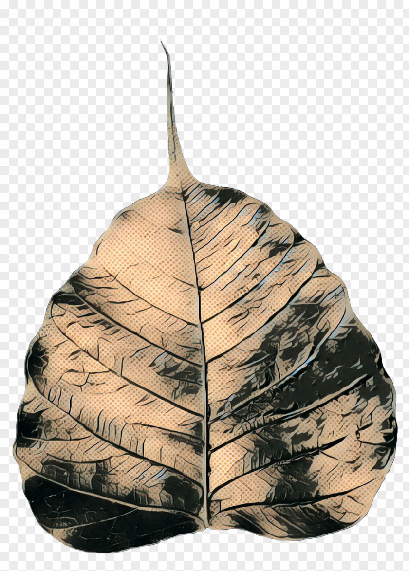 Perennial Plant Pathology Tree Leaf PNG