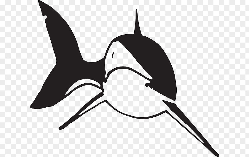 Shark Black And White Clip Art PNG