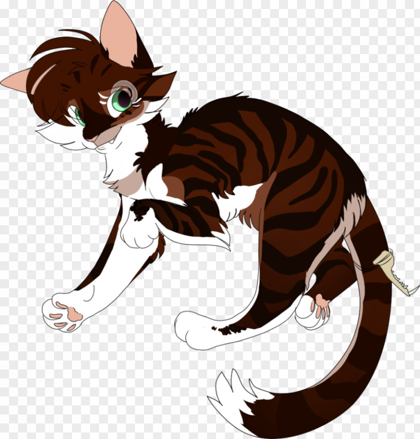 Shawnee Graphic Whiskers Cat Tiger Artist PNG