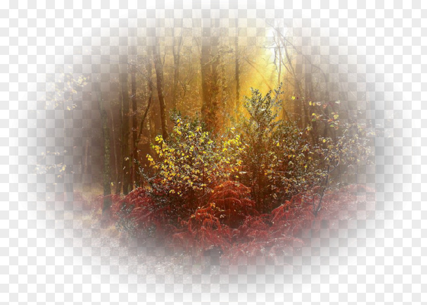 Autumn Nature Landscape Painting Fairy Tale PNG