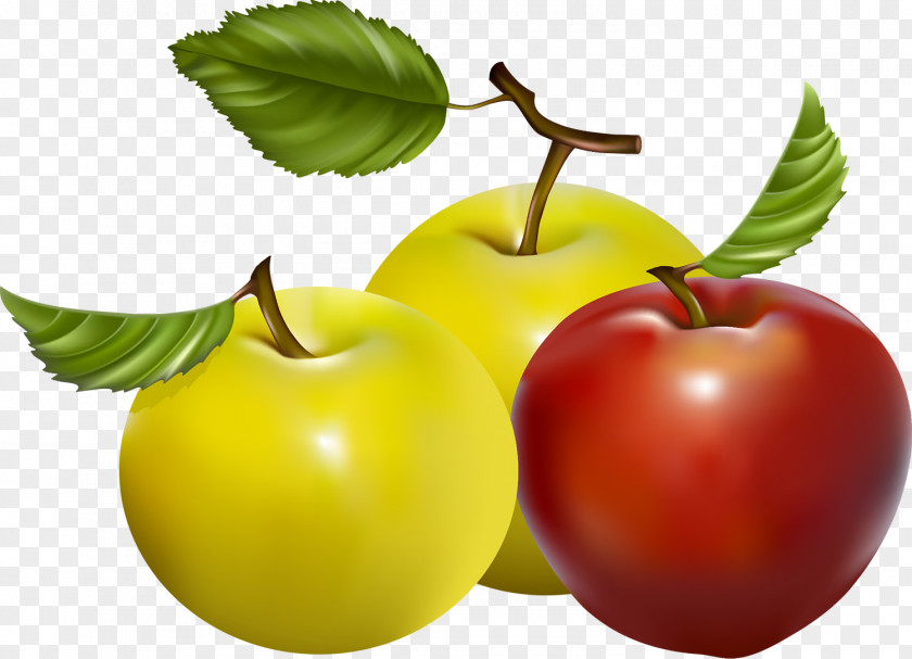 Berries Apple Fruit Food Vegetable PNG