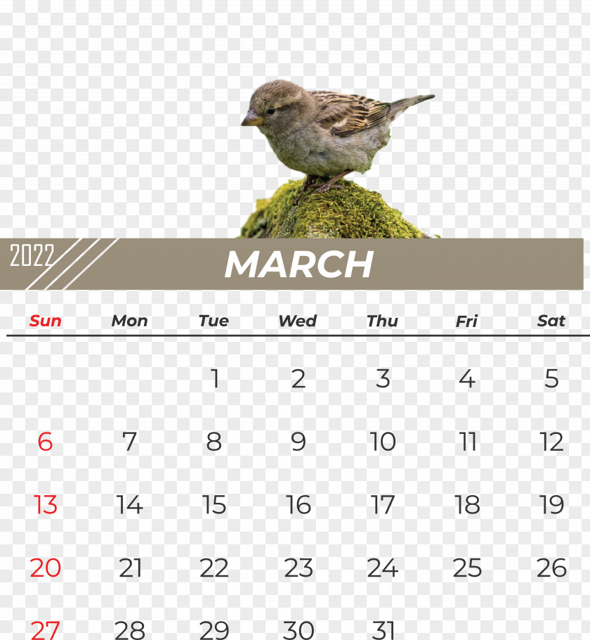 Birds Beak Calendar Font Meter PNG