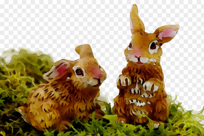 Easter Bunny Domestic Rabbit Video PNG