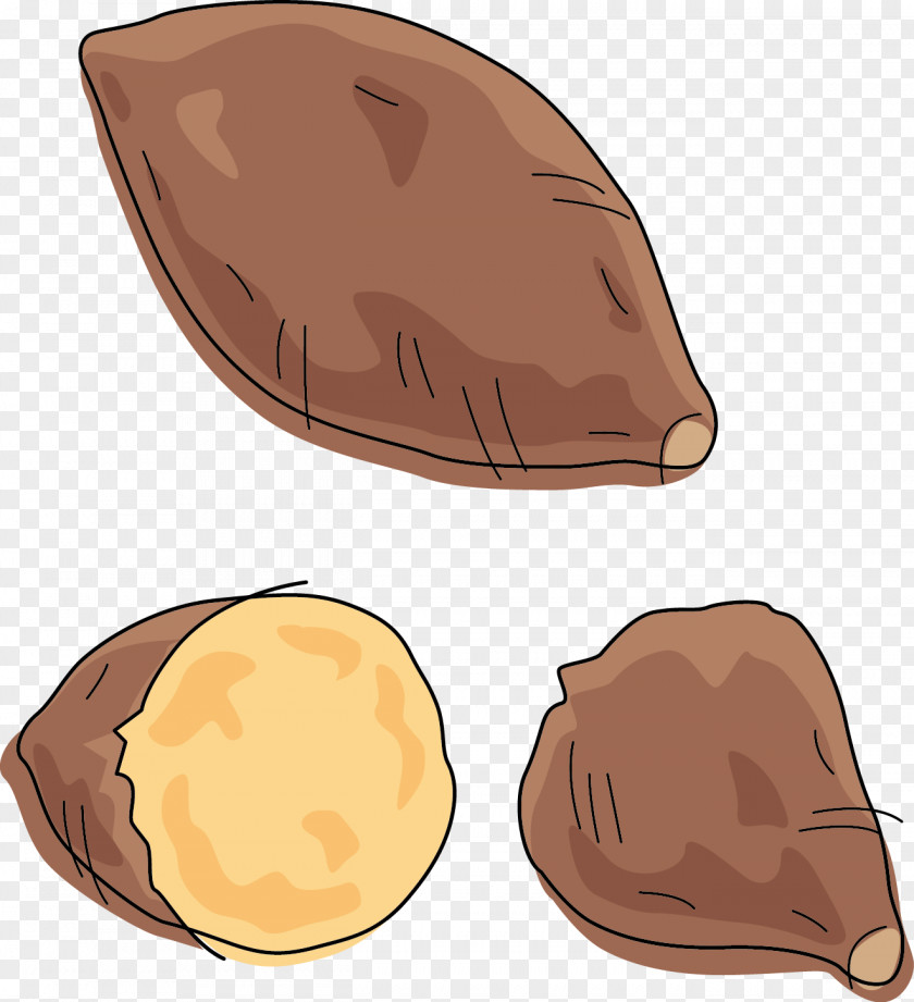 Hand Painted Sweet Potato Illustration PNG