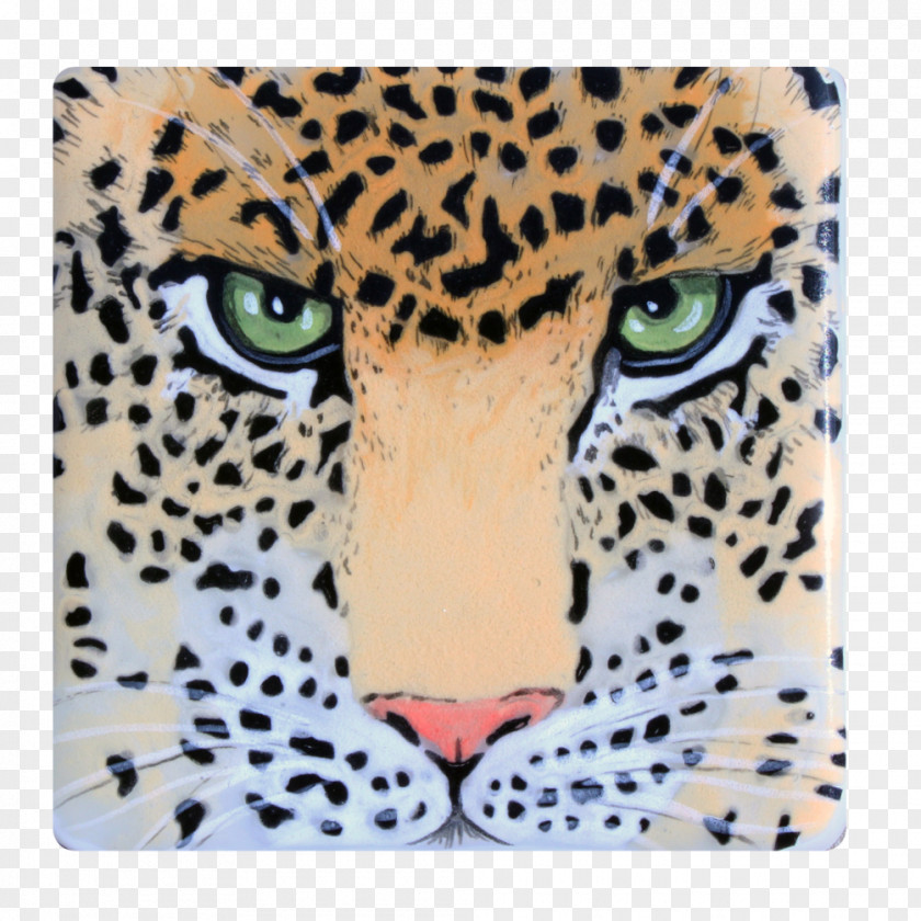 Leopard Jaguar Cheetah Whiskers Snout PNG