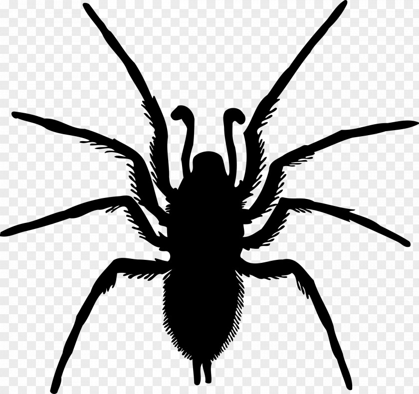 Spider-Man Clip Art Drawing PNG