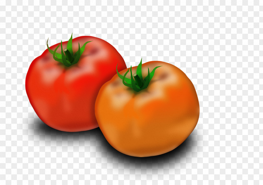 Tomato Food Fruit Plum Chicken Bush PNG