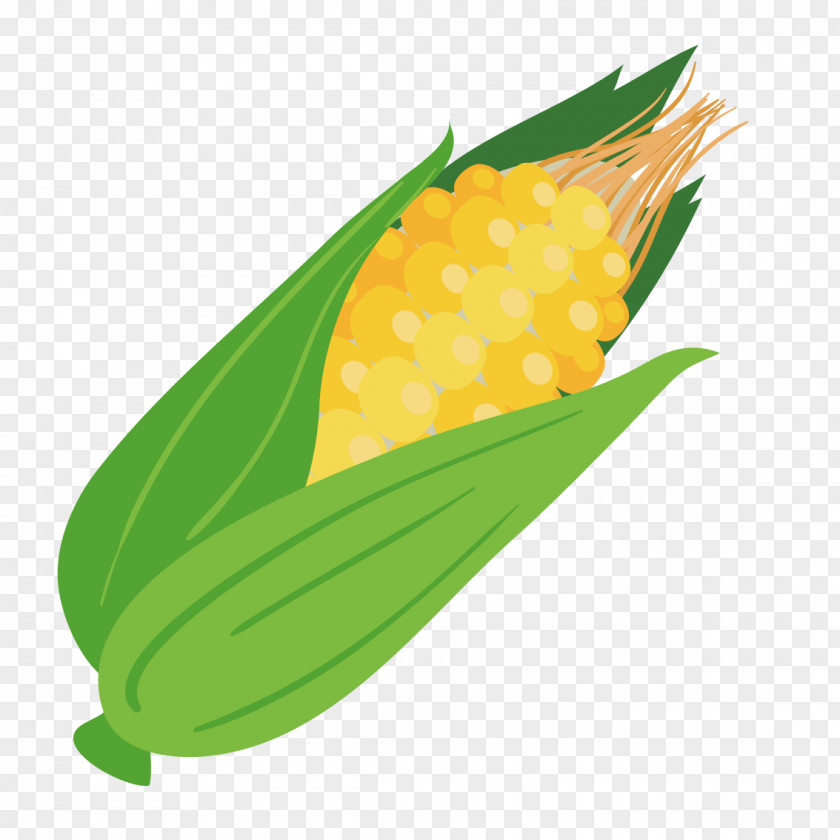 Vector Corn On The Cob Maize Computer File PNG