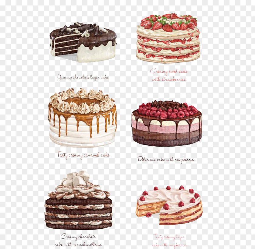 Watercolor Cake Chocolate Strawberry Torte Angel Food PNG