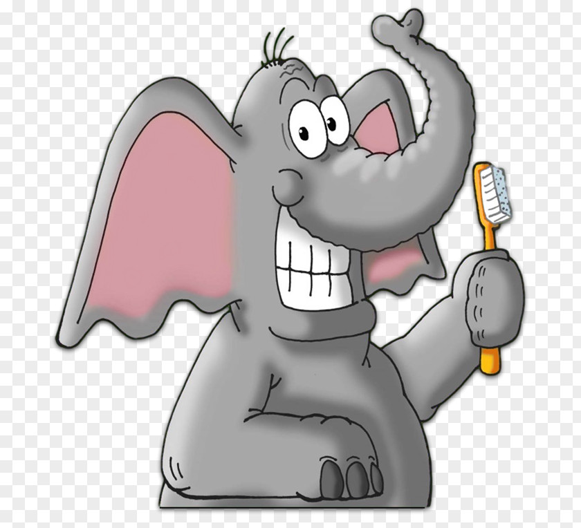 Elephant Dentistry Human Tooth Brushing PNG