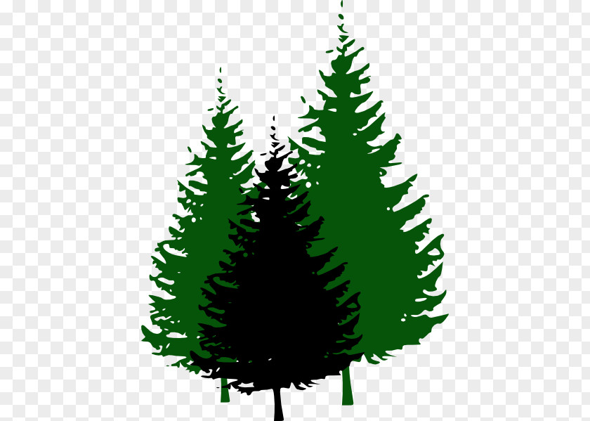 Evergreen Cliparts Pine Tree Clip Art PNG