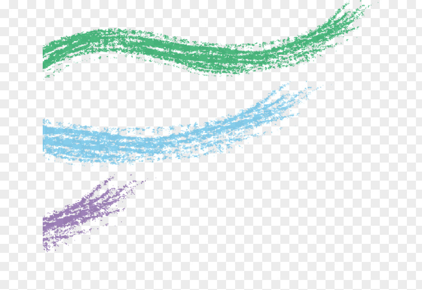 Line Green Turquoise Eyebrow PNG