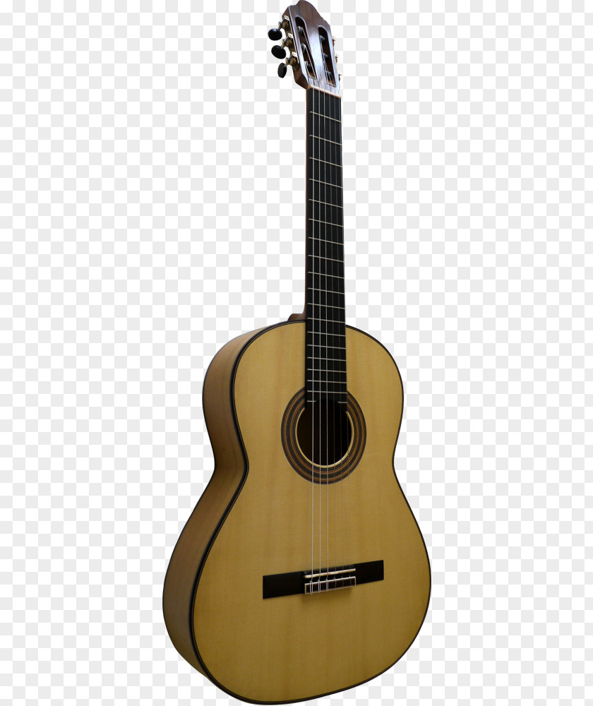 Acoustic Guitar Ukulele Tiple Cuatro Bass PNG