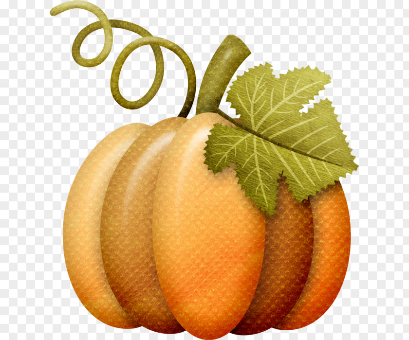 Autumn Gourd Clip Art Harvest Image PNG