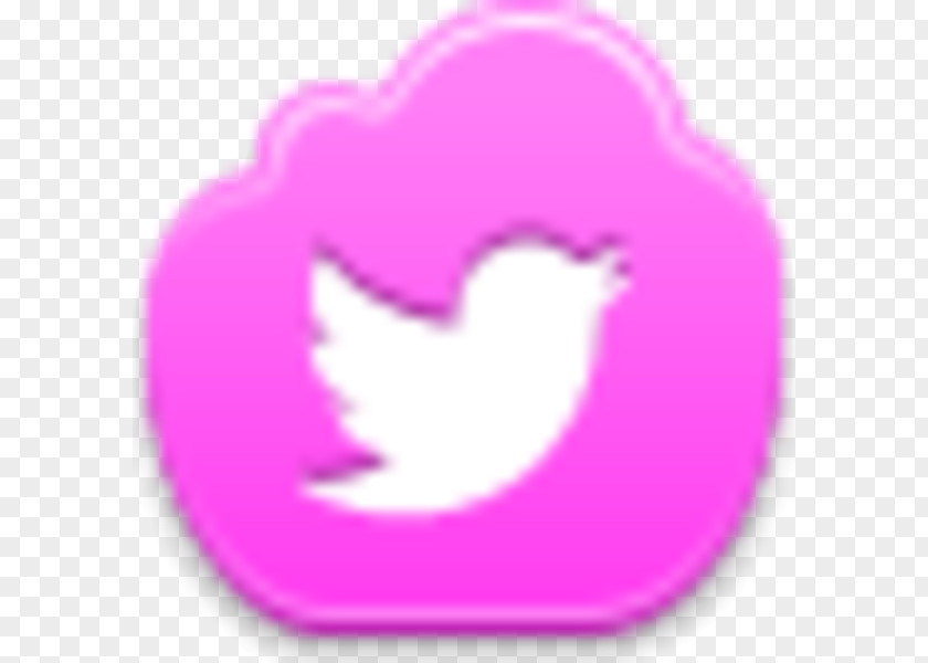 Bird Pink Social Media Networking Service PNG