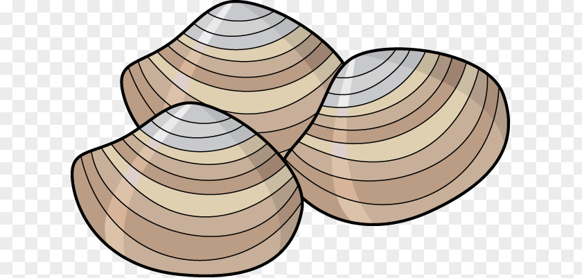 Clams Cliparts Clam Mussel Oyster Clip Art PNG