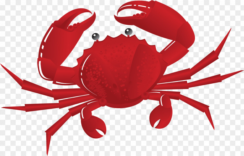 Crab PNG clipart PNG