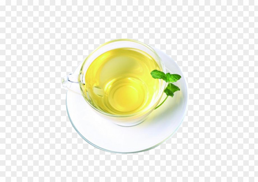 Mint Tea Green Coffeemaker PNG