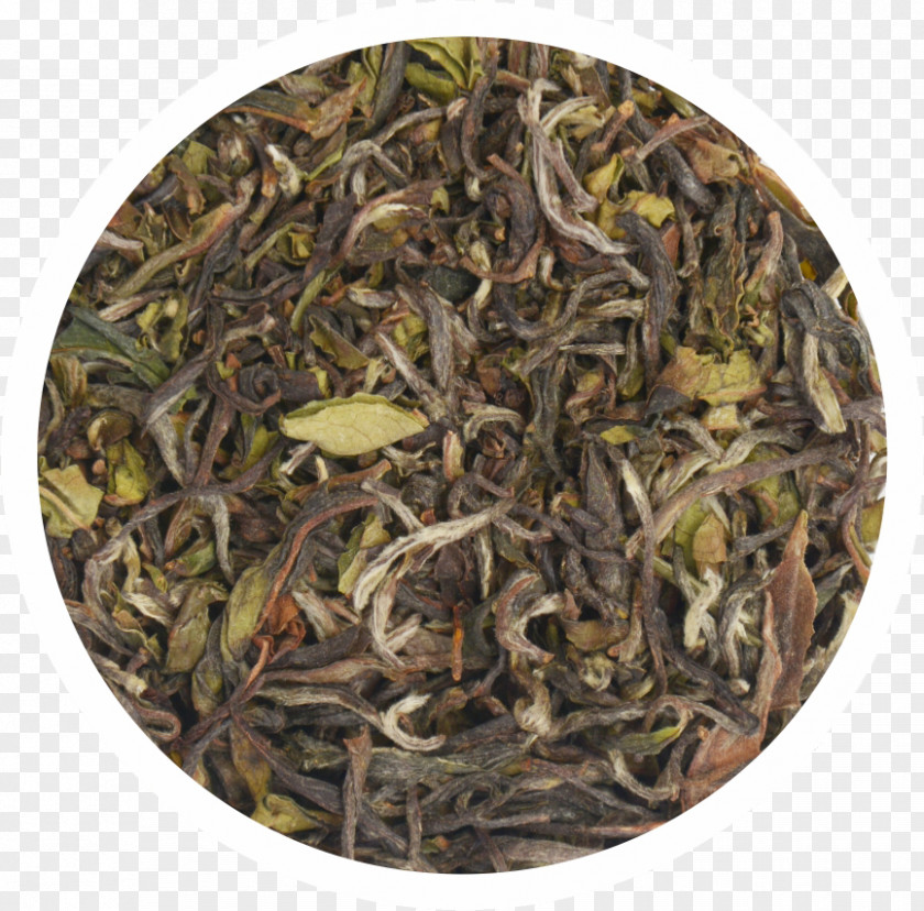 Tea Green Dianhong Oolong Assam PNG