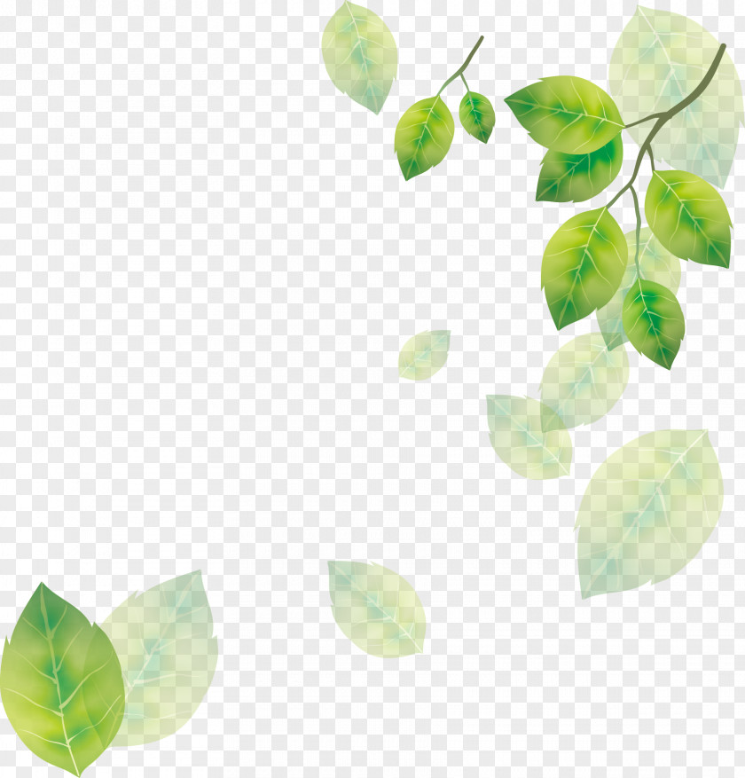 Tree Leaves Leaf PNG