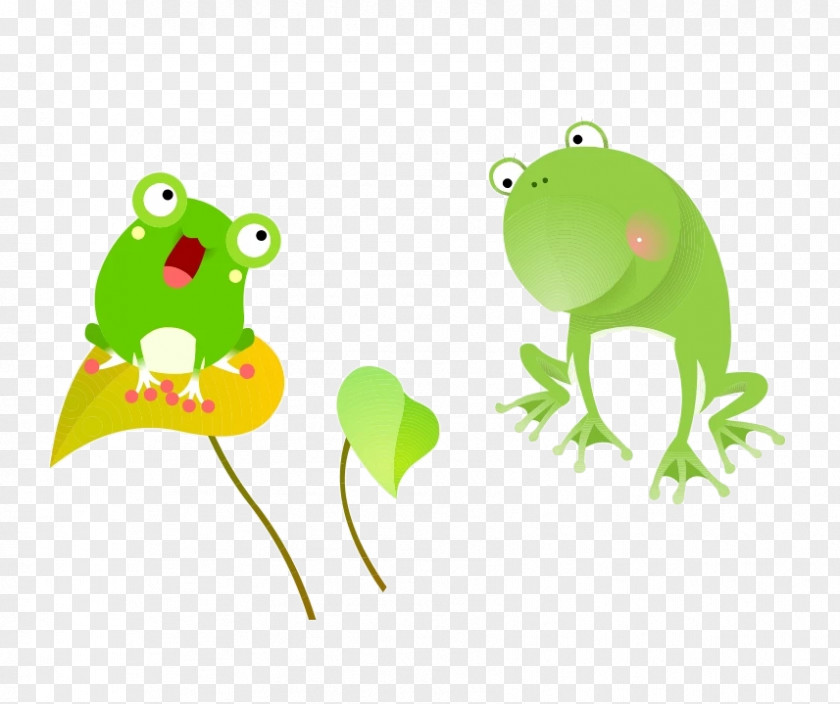 Cartoon Frog Lithobates Clamitans PNG