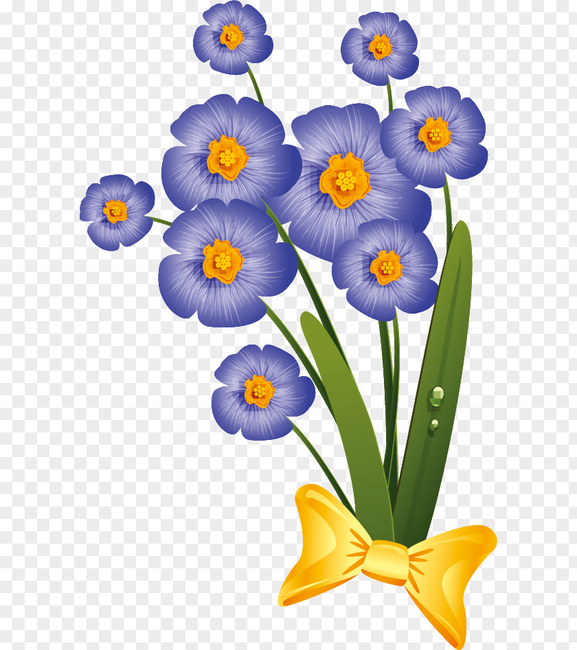 Flower Plant Petal Forget-me-not Narcissus PNG