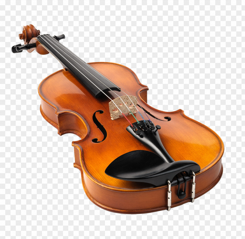 HD Violin Viola String Instrument Stock Photography PNG