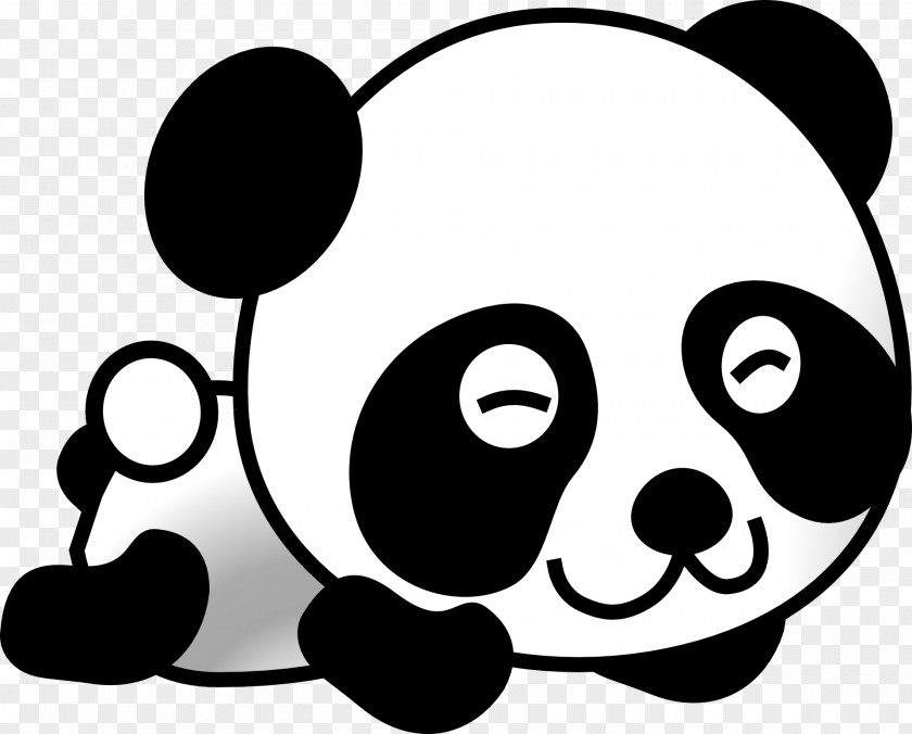 Koala Giant Panda Bear Cuteness Clip Art PNG