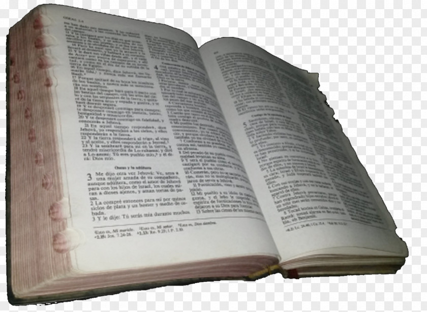 Book Of Revelation Bible Theology Prophet PNG