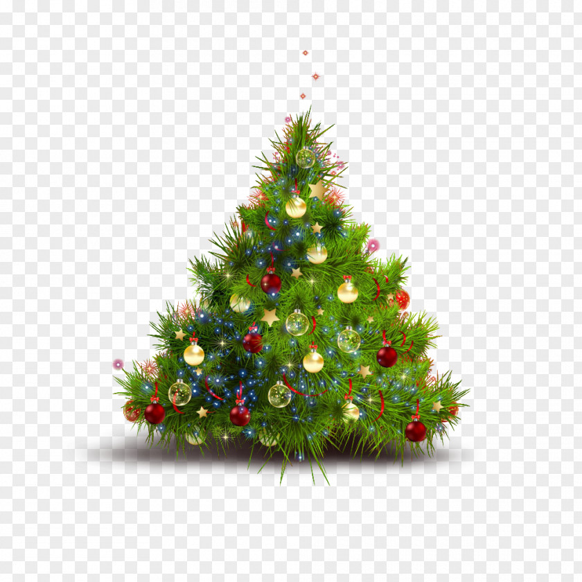 Christmas Tree Ded Moroz Desktop Wallpaper PNG
